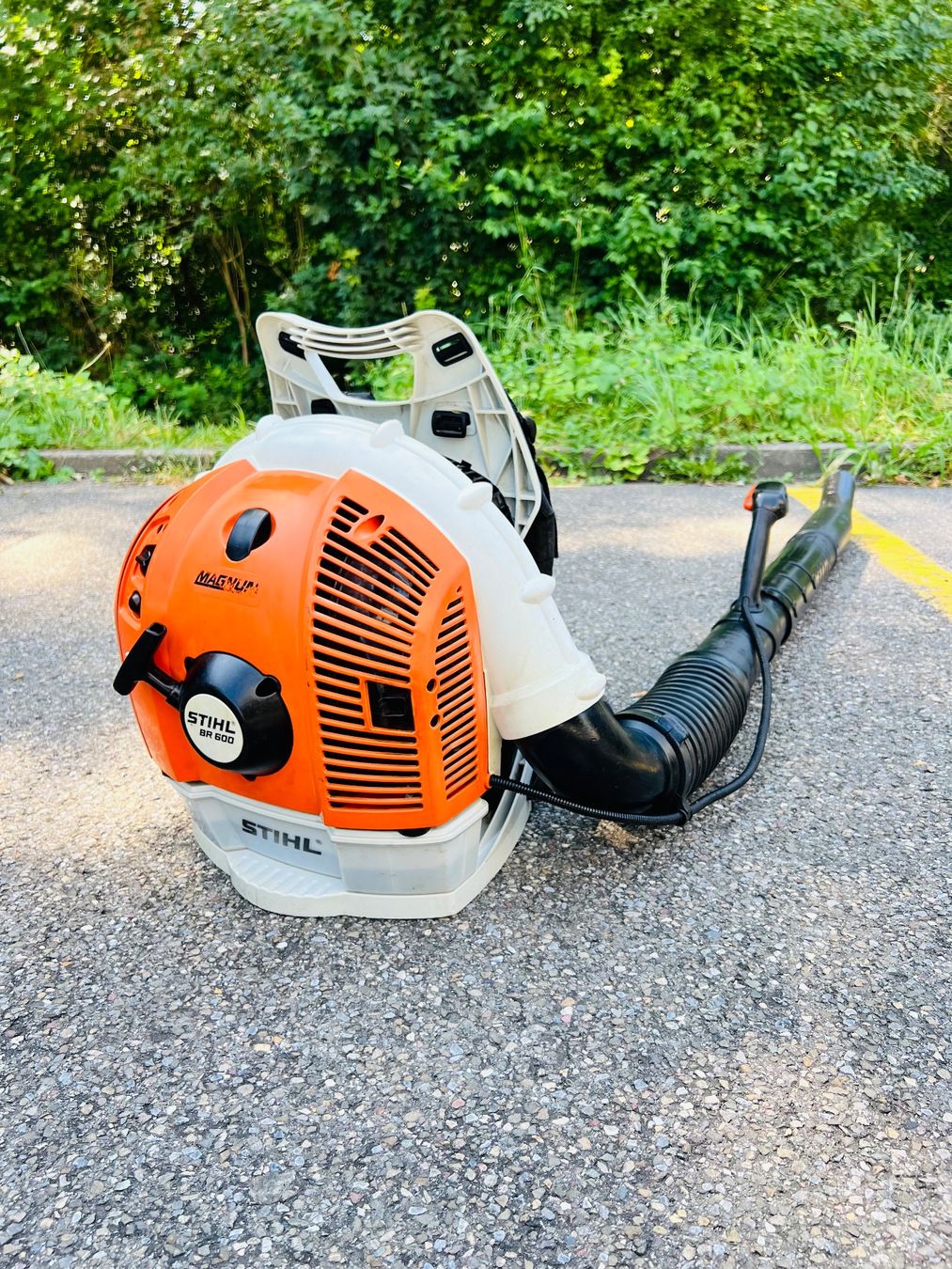 Stihl Laubbläser & Laubsauger: Laubblaser Stihl BR 600 MAGNUM – Gebraucht aus Urdorf von Faz_19 4