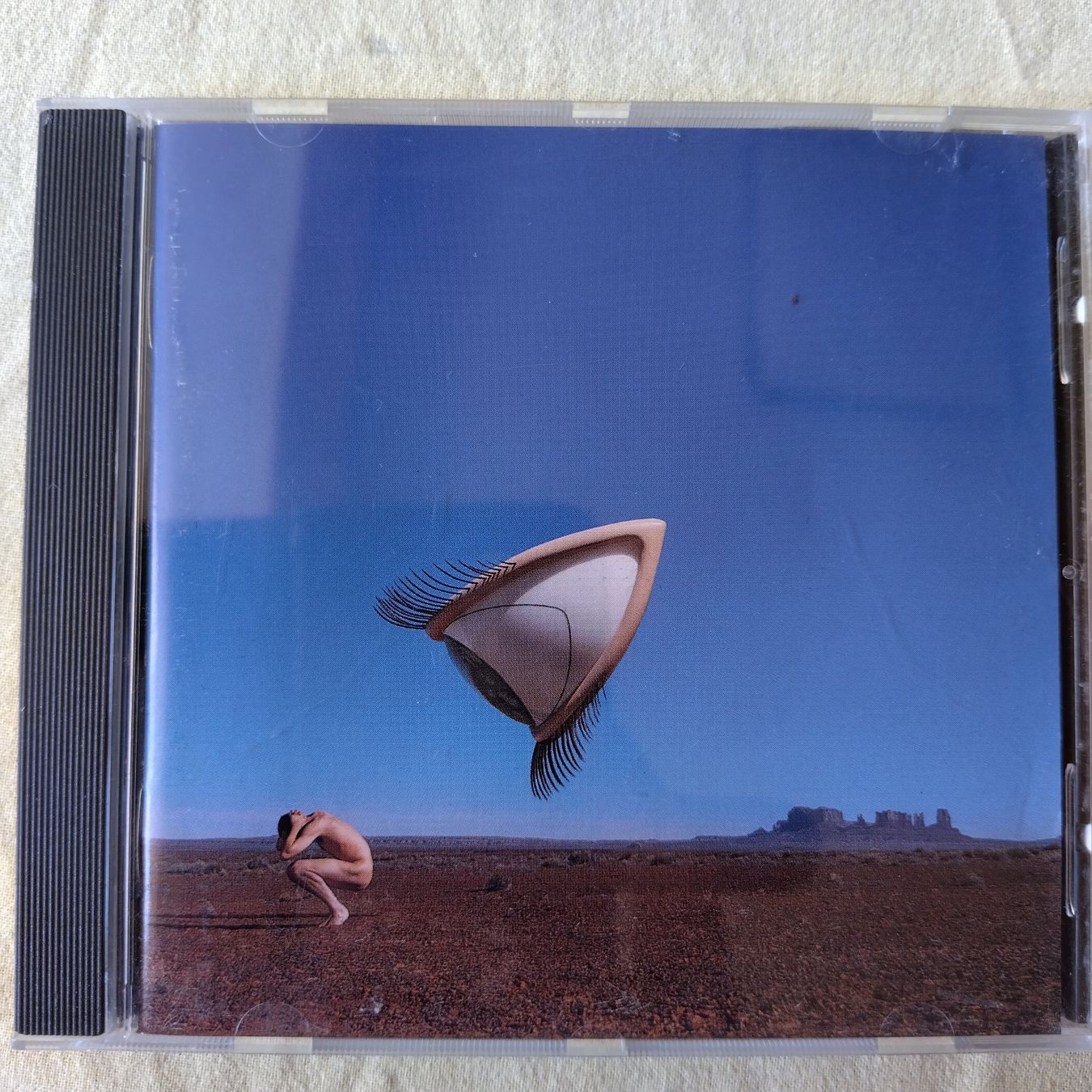 CD: CD von The Cranberries – Usato da Buchs venduto da mdi_mpx5