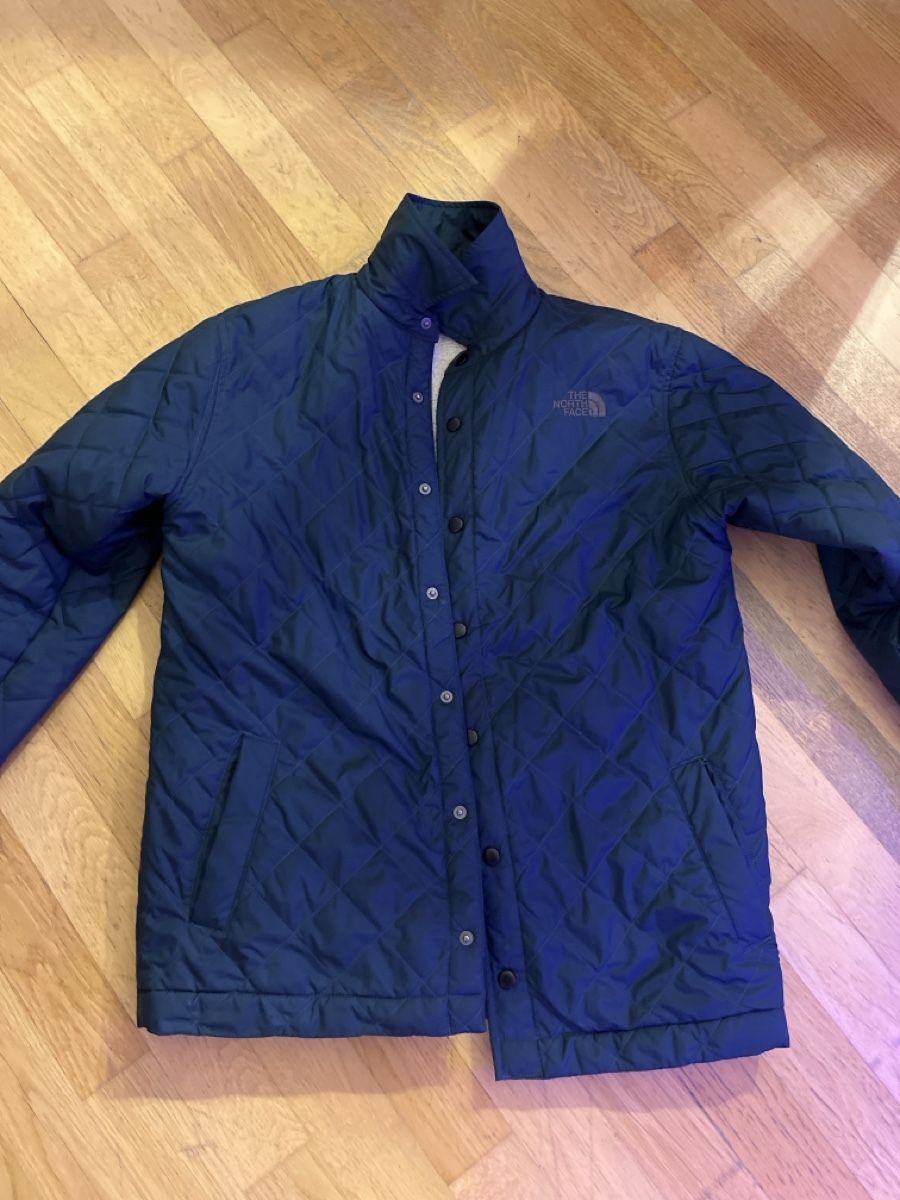 North Face Giacche: The North Face Steppjacke – Usato da Wetzikon ZH venduto da kingbob72