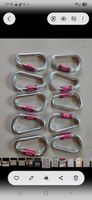 Isoper Karabiner Set 10 Stück Aluminium silber pink
