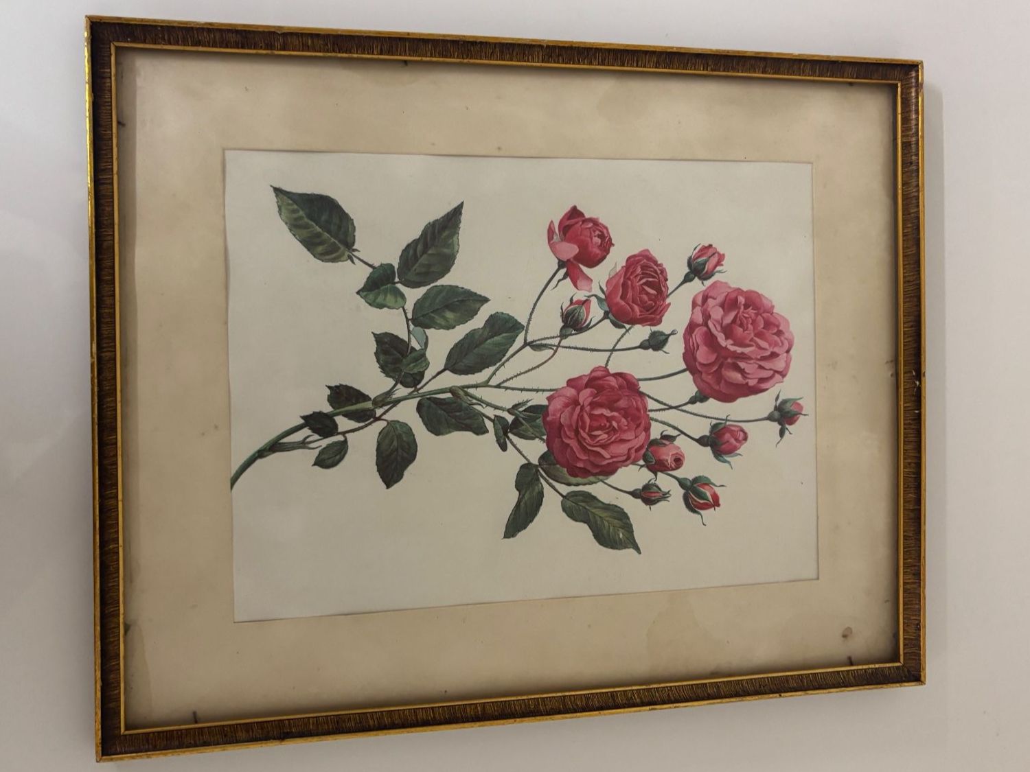 Cornici: Goldener Bilderrahmen mit Rosen bild – Usato da Wettingen venduto da Wendemarket