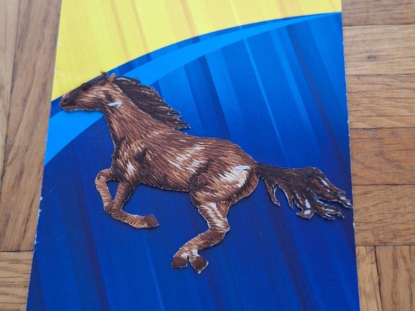 Toppe: Pferd Bügel Bild – Usato da Wetzikon ZH venduto da NaWetzi