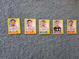 Panini 2026 ARG 2/6/8/12/16