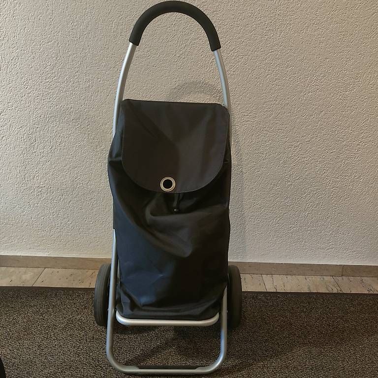 Altro per la casa: Carrello per la spesa 25 kg – Usato da Losone venduto da mar_n5ds 3