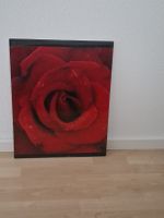Bild Rose mit Wassertropfen,  Versand auch möglich 