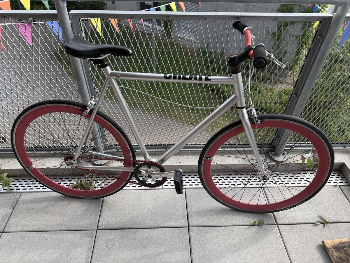 Biciclette: Singlespeed / Fixie – Aluminium Velo – Usato da Zürich venduto da PixelTreasure