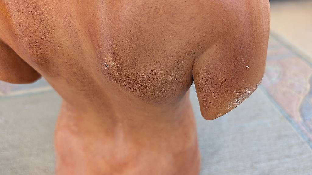 Sculture & Statue: Weiblicher Torso aus Keramik – Usato da Zürich venduto da wme_2brc 1