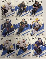 Sportzoo Playoffs 26 Base Fribourg komplett