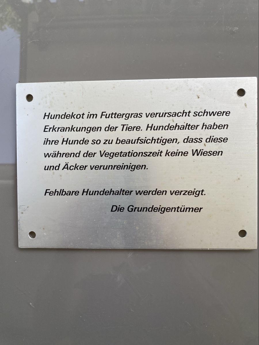 Insegne: Schild – Usato da Seuzach venduto da M.Govori