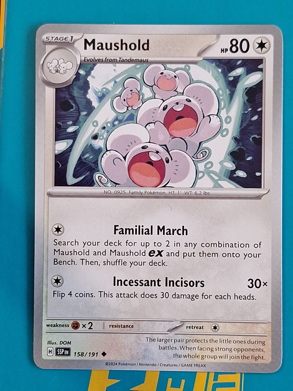 Pokémon Sammelbilder & Trading cards: Maushold - Pokemon Surging Sparks – Gebraucht aus Altstätten SG von GGsGameshop
