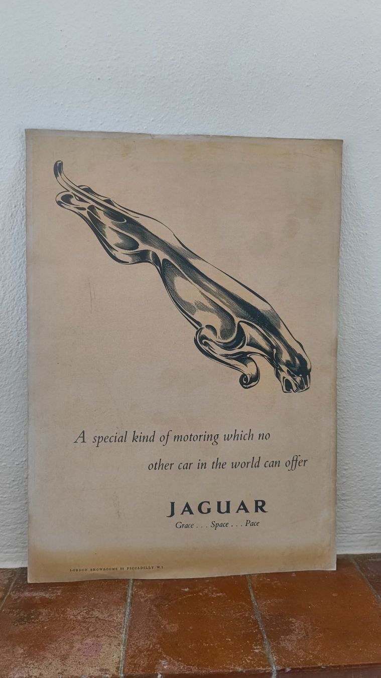 Foto & Immagini: Vintage Jaguar poster – Usato da Pedrinate venduto da Abitandmore
