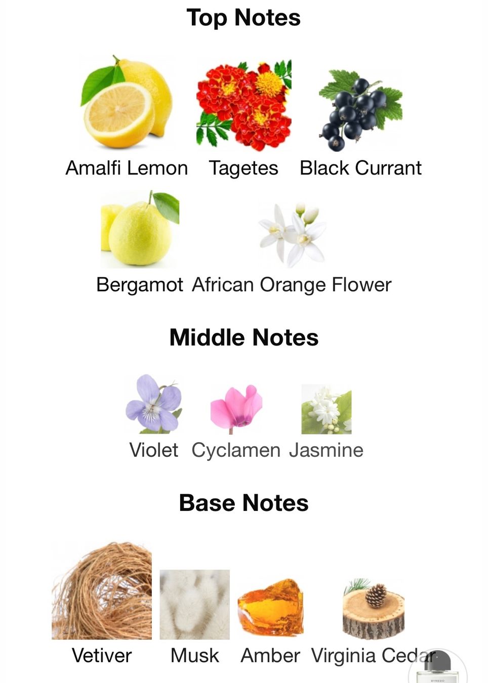 Byredo Profumi & Eau de Toilette: Bal d'Afrique by Byredo  12 ml sample – Nuovo (secondo la descrizione) da Chêne-Bougeries venduto da Seetooyoo 3