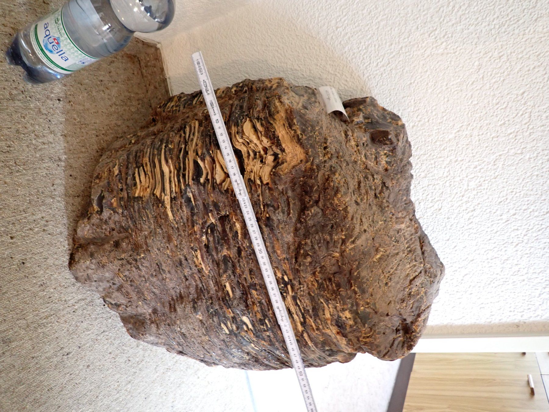 Fossili: Bernstein GIGANT 40 KG  Indonesien – Usato da Wallisellen venduto da Mf1000 7
