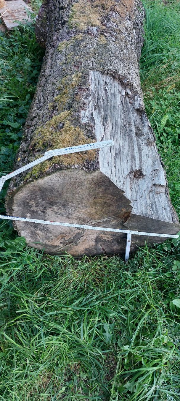Holzartikel: Birnen Baumstamm – Gebraucht aus Herlisberg von Johndeere92 3