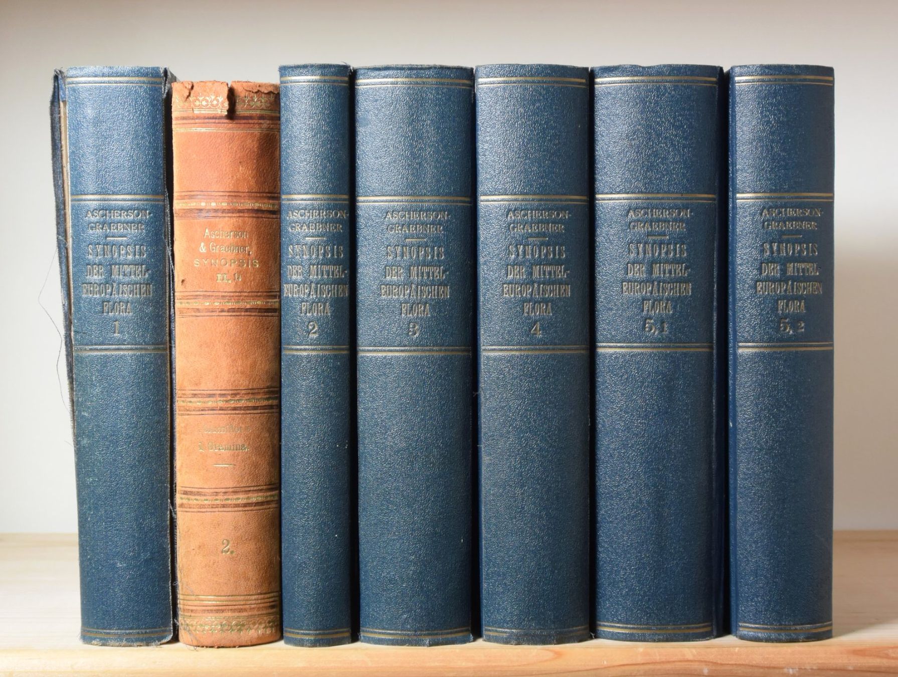 Bücher: Botanik: Synopsis der Mitteleuropäischen Flora, 13 Bände – Gebraucht aus Erschwil von taglang