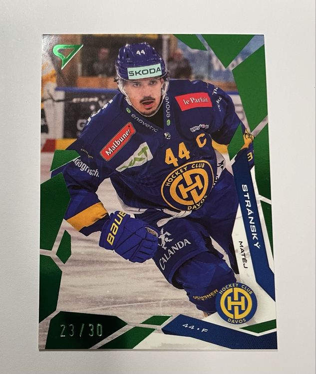 Sportzoo Matej Stransky 23/30 HCD (Neu (gemäss Beschreibung)) in ...