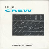 Cutting Crew - (I just) Died in your arms 7" Vinyl 1986