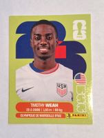 Panini Timothy Weah USA 12
