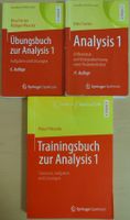 Analysis 1 Set (Buch + Übungen + Training) – Forster