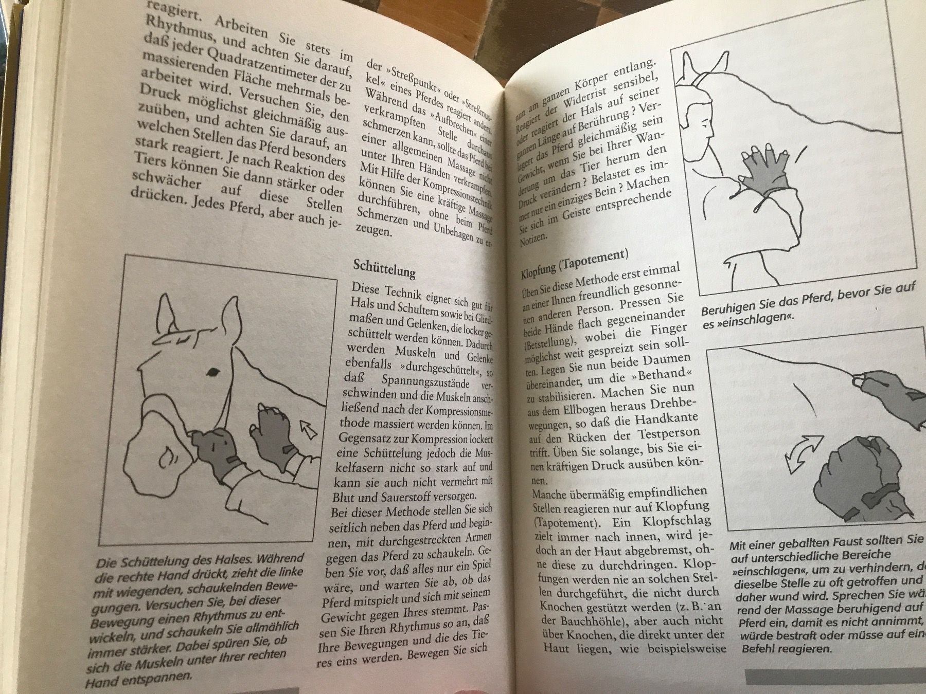 Libri: Pferdebücher – Usato da Waldenburg venduto da Oliro75 7
