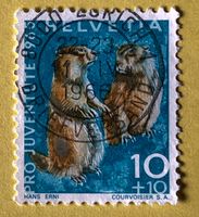 Nr.J 211 GESTEMPELT Alpenmurmeltier 1965 Zürich