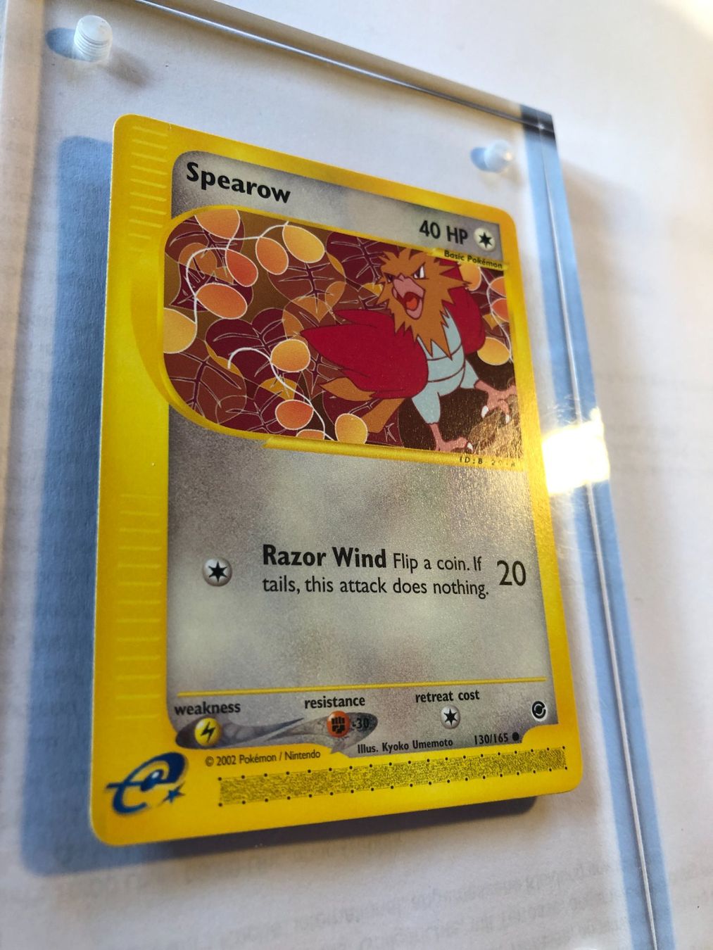 Carte collezionabili: Spearow Expedition - MINT - ab 1.- – Usato da Giubiasco venduto da dan_pr8b 1