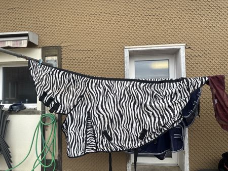 Fliegendecke Zebra Muster 115cm