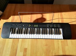 Casio CTK 240 Keyboard