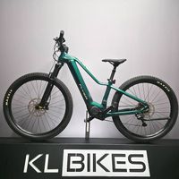 NEU E-BIKE FLYER 25KM/H | 95NM & 750WH MTB