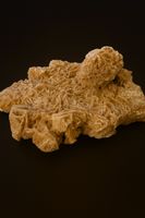 Belle rose des sables naturelle