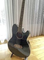 Ibanez Gitarre