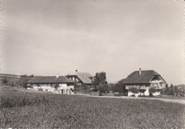 Rattenholz 1959