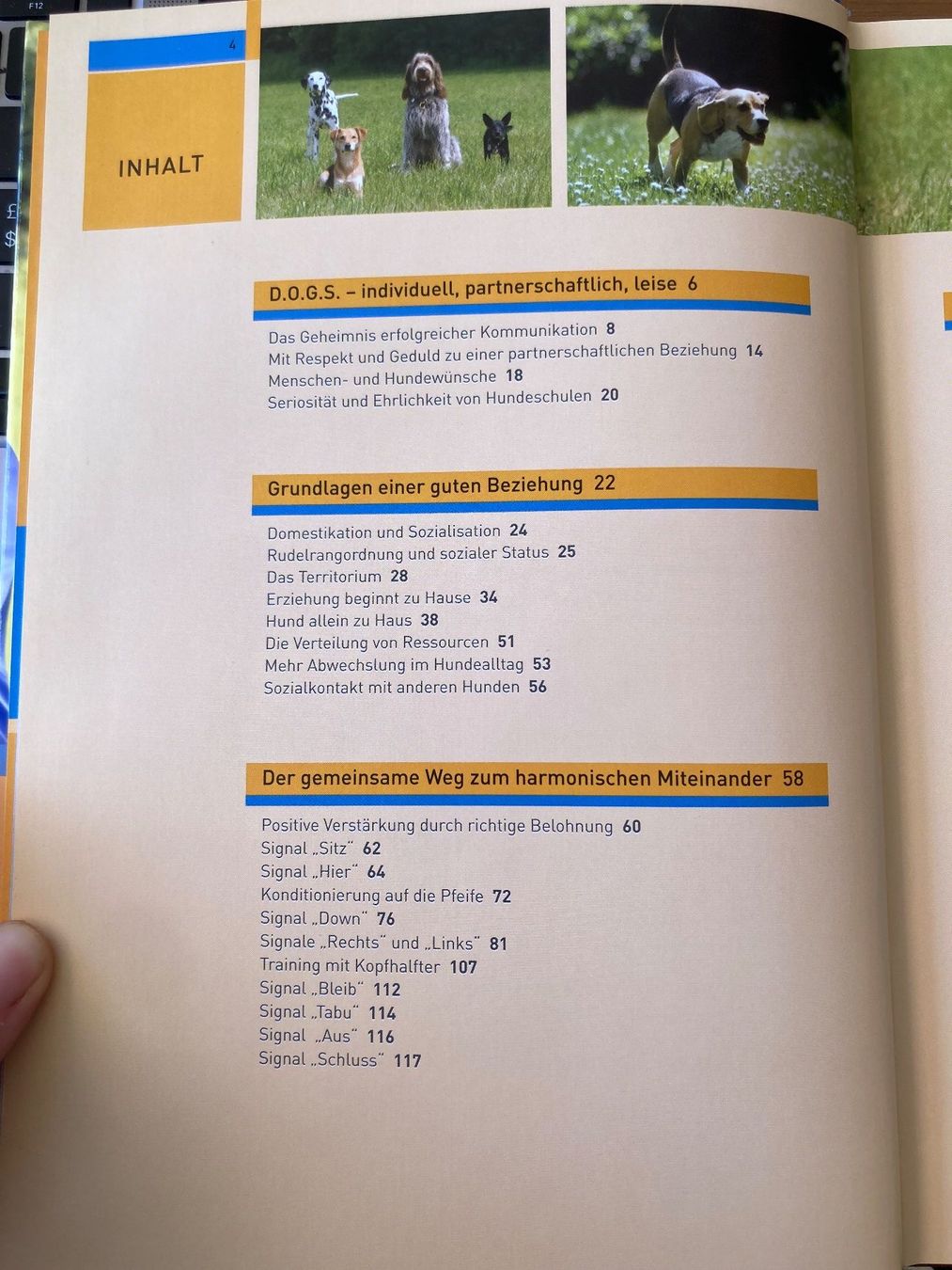 Libri: Buch: Hundetraining mit Martin Rütter, 2006 – Usato da Wichtrach venduto da Aramis3628 3