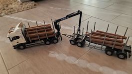 Holztransporter, Holzlaster, Holz-Lkw Scania Highline