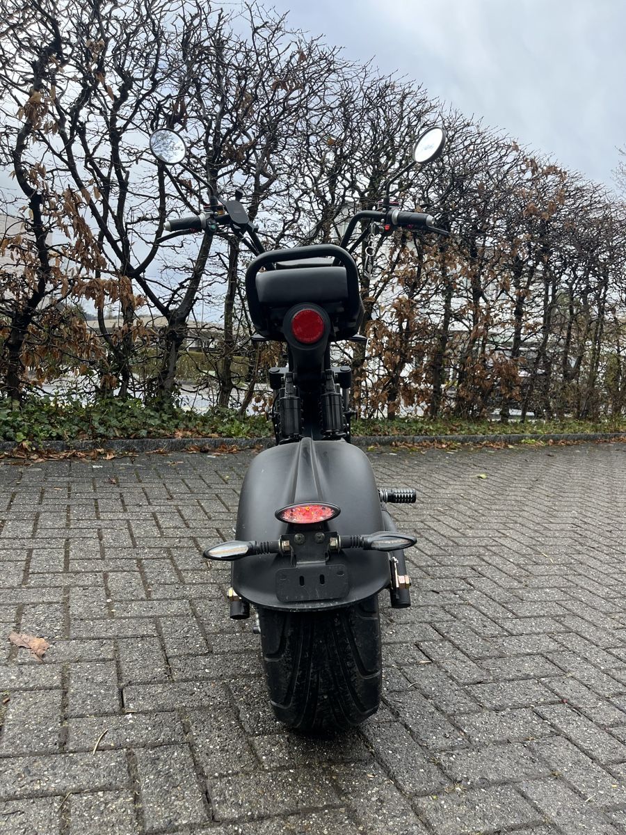 Züriflizzer Scooter: E-Roller – Usato da Adliswil venduto da tei_99kz 6