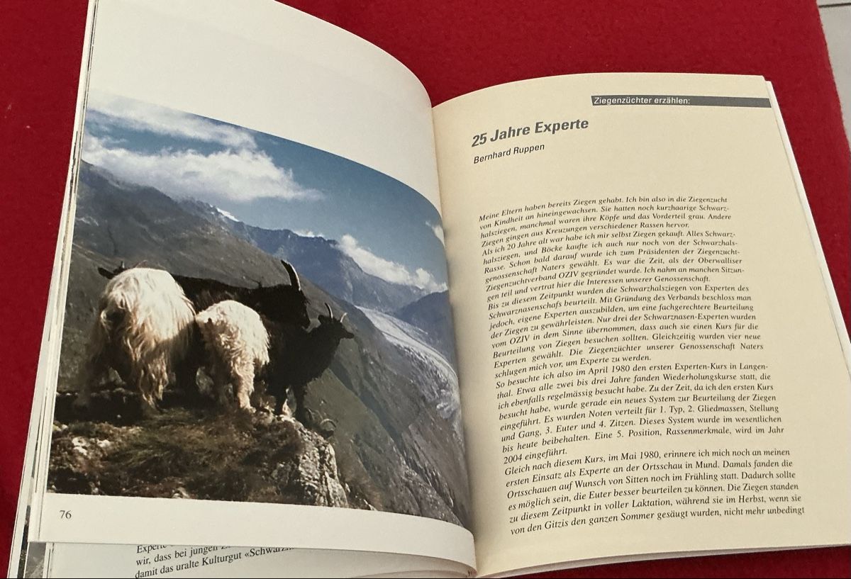 Libri: Walliser Schwarzhalsziegen - Christian Zufferey – Usato da Crans-Montana venduto da plainemorte 5
