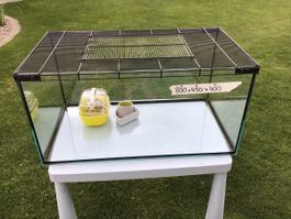 Hamster Terrarium mit Zubehör, Top Zustand!