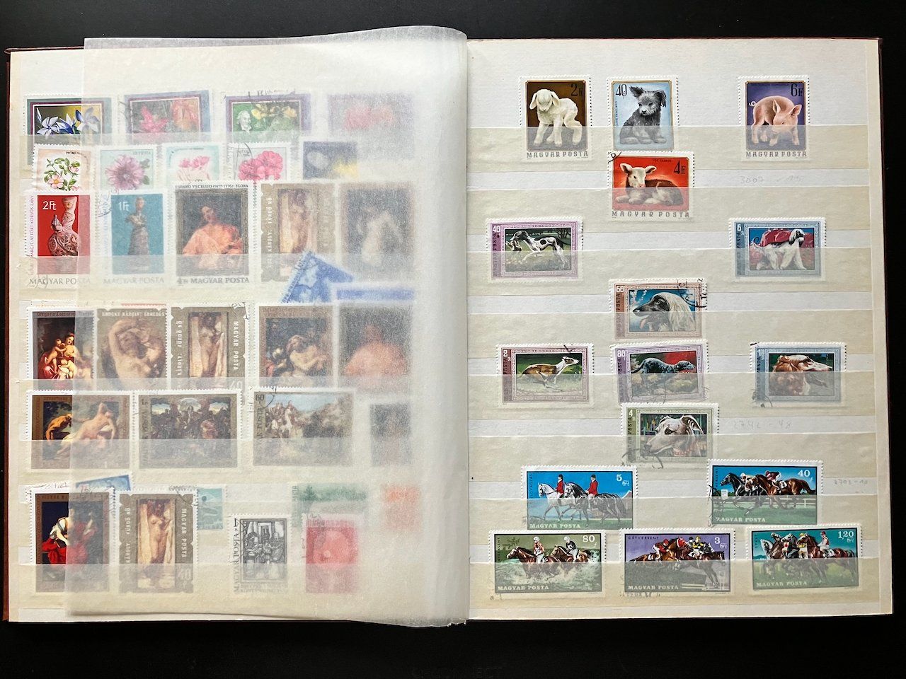 Tutti i francobolli: Ungarnsammlung im Steckalbum – Usato da Nesslau venduto da andi_hon 5