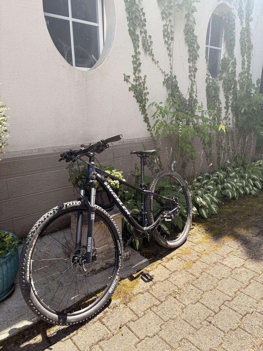 Wheeler Biciclette: Mountainbike Wheeler Eagle 420 MTB schwarz – Usato da Gelterkinden venduto da Bearick