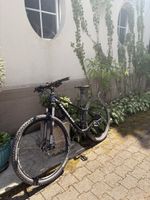 Mountainbike Wheeler Eagle 420 MTB schwarz 