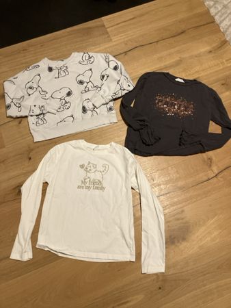 Pullover Herbst Girls Gr152