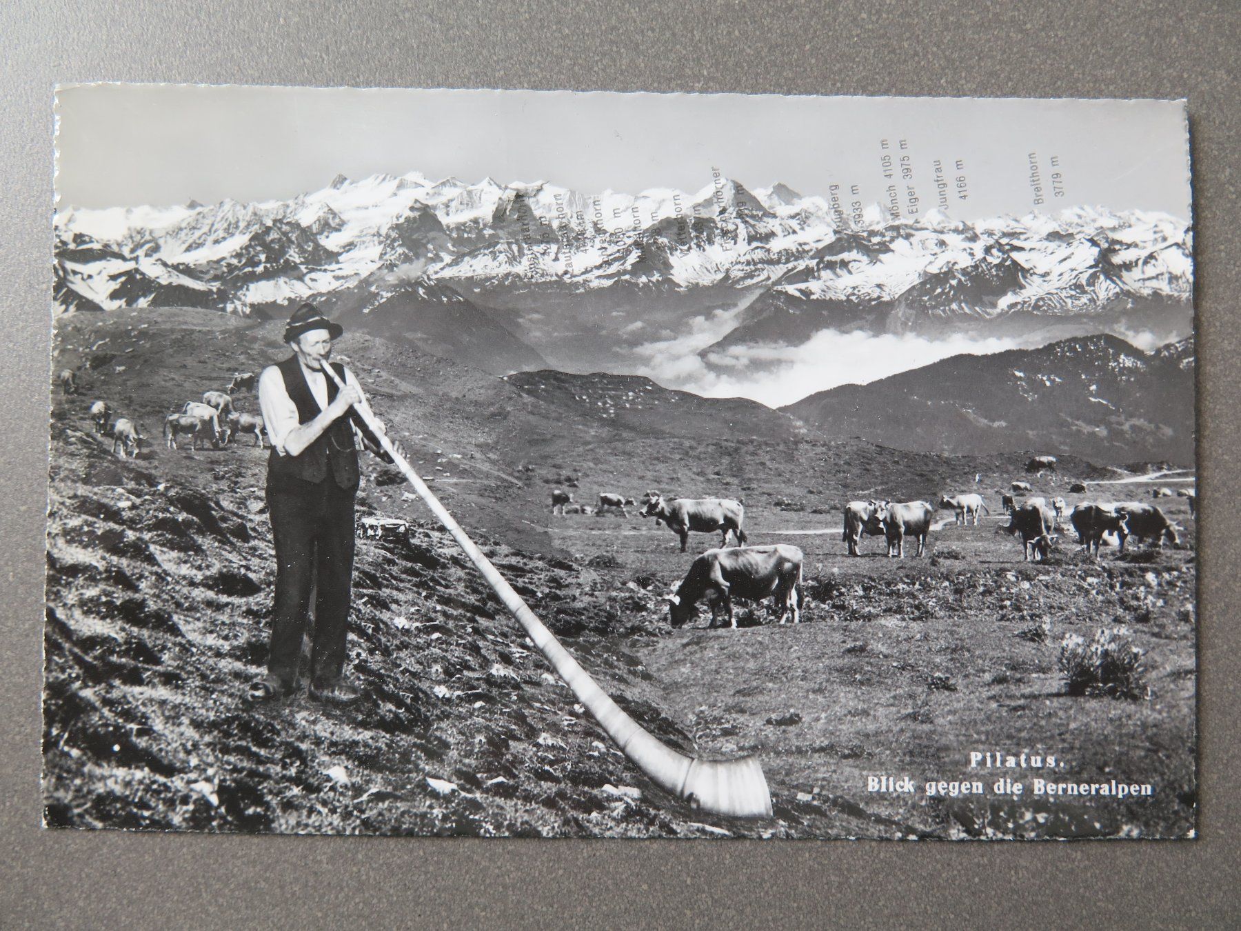 Cartoline postali: ALPHORN - ALPHORNBLÄSER - PILATUS – Usato da Wittenbach venduto da lipasal