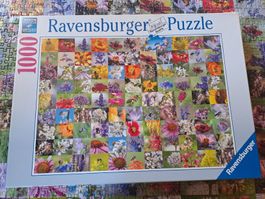 Ravensburger Puzzle 
