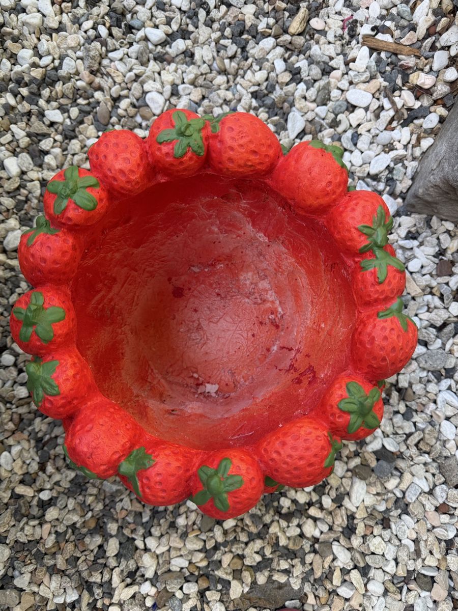 Blumentöpfe: Dekorativer Blumentopf  – Gebraucht aus Pfäffikon ZH von lenaviktoria 2