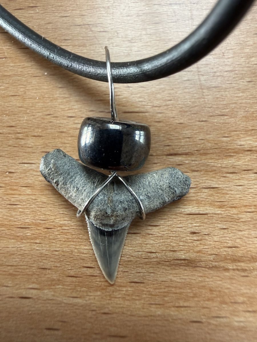Catenine: Kette mit Haifischzahn-Anhänger – Usato da Grenchen venduto da Bastet007 1