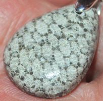 Anhänger L-5954– Schlange Fossile Koralle Cabochon ca. 23x17