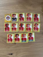 Panini Klebe Bilder Wm 2026 Canada