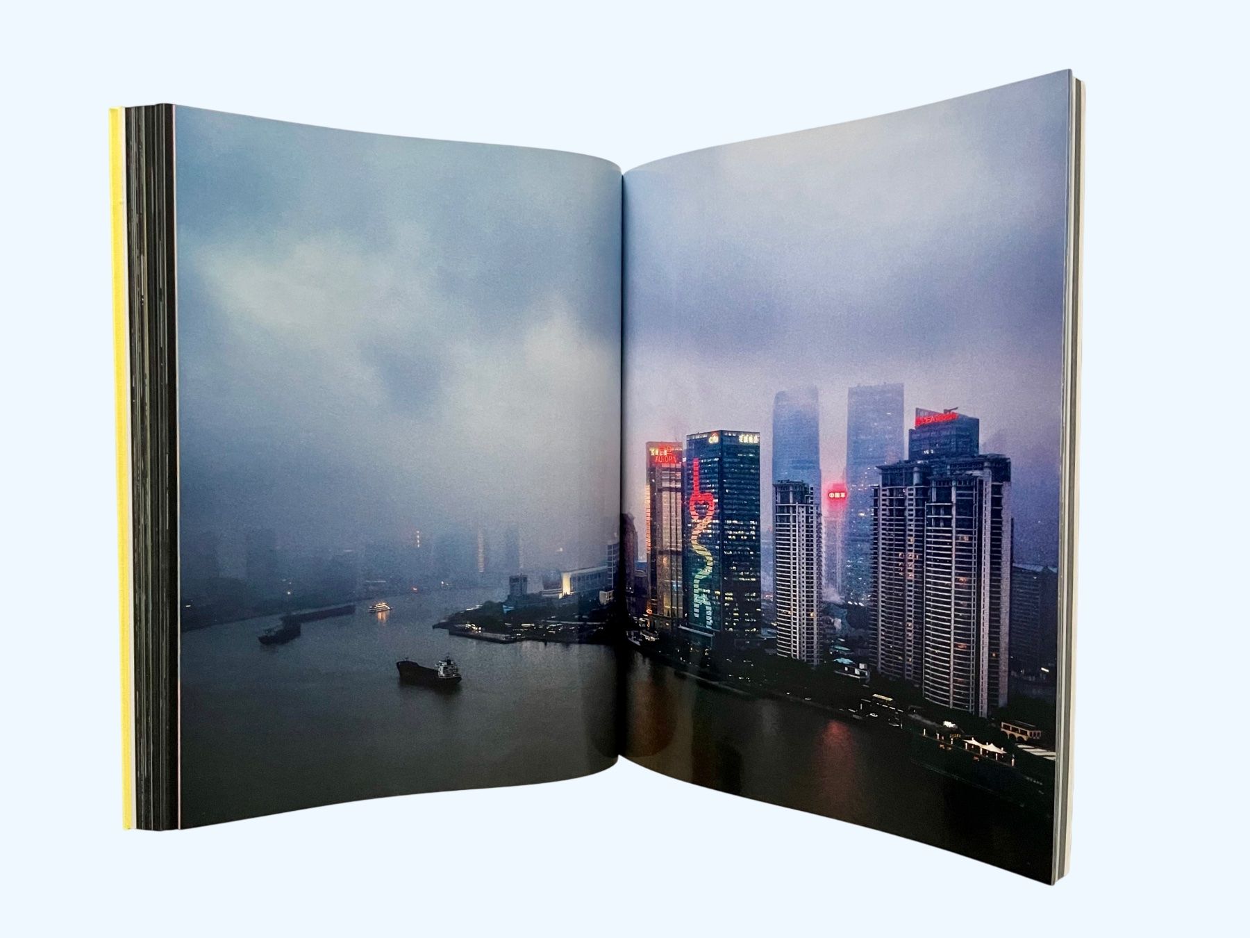 Libri: Villes du Monde, LOUIS VUITTON, édition limitée – Usato da Genève venduto da Bazarare 4
