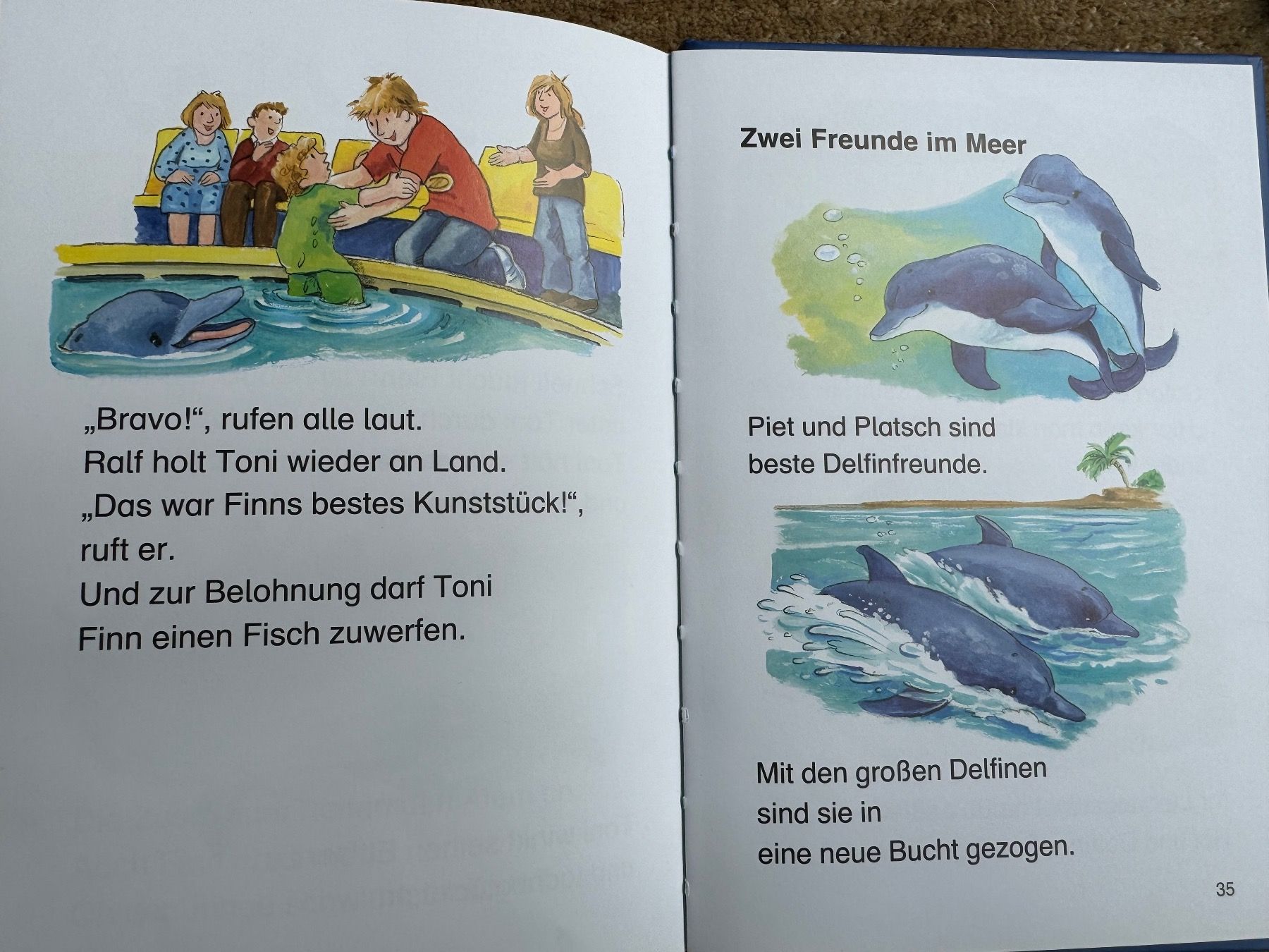 Bücher: Erstleser - Lesetiger - Delfingeschichten – Gebraucht aus Aarau von Kilauea 3