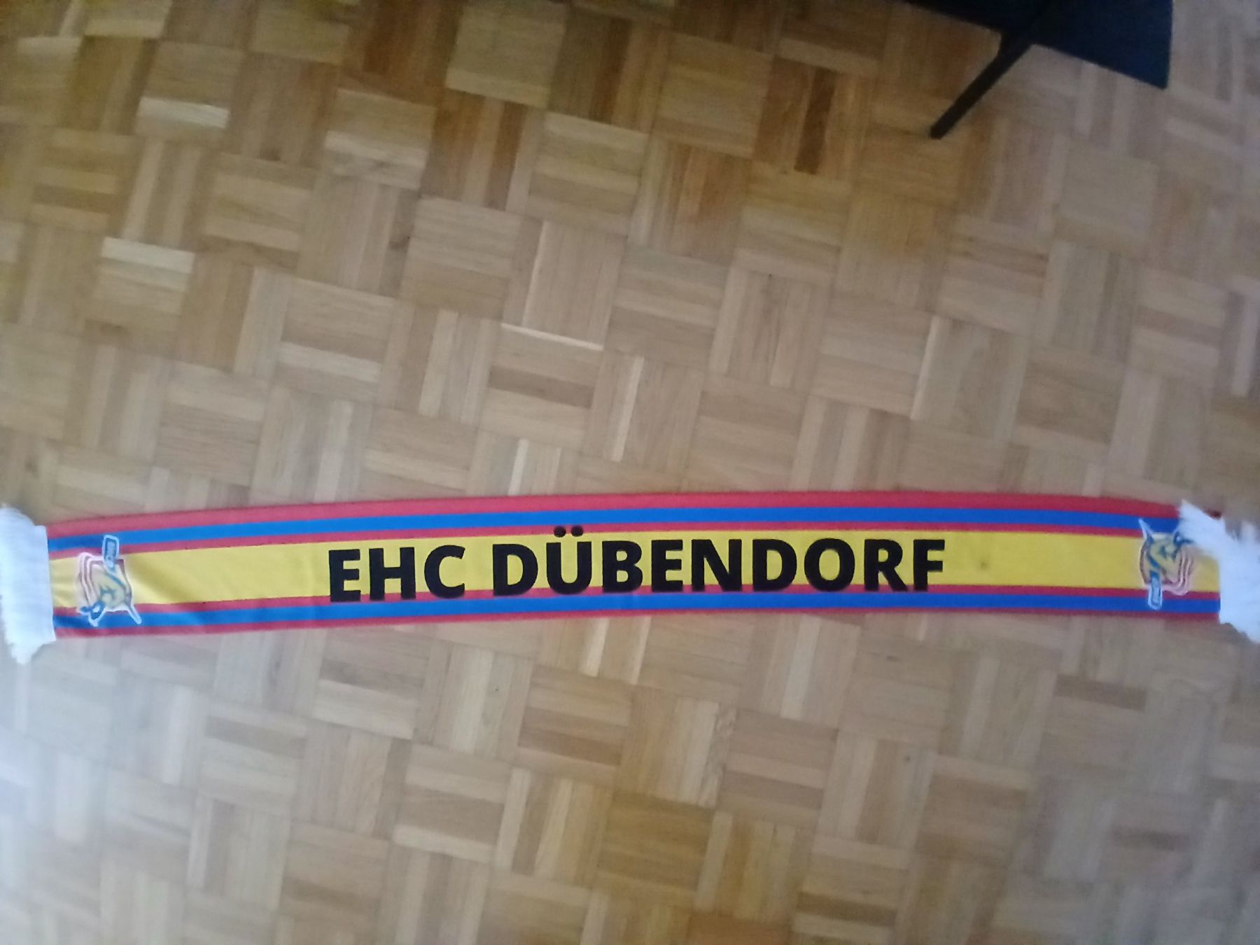 Foulard & Sciarpe: EHC Dübendorf Schal – Usato da Oberglatt ZH venduto da Sandro0124 1